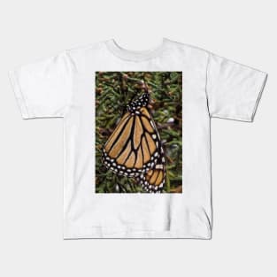 Monarch butterfly,  God's beautiful creation Kids T-Shirt